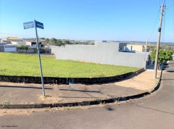 20230706105926131.jpg · Terreno para Venda em Marília, Jardim Florença
