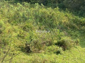 Rural · 13ha · Chácara de 13 Hectares Próxima a Santa Maria - Um Refúgio de Tradição e Natureza