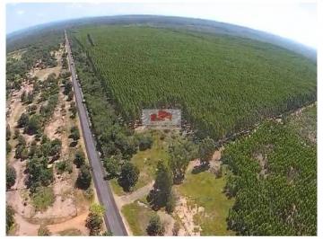 634fc193d4ac2e8accf778dda8952a14.jpg · Fazenda na região de Floriano, com 6015 hectares, produtiva, dupla aptidão