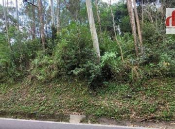 c316206718296b75258c5601452607e734e81347 · Terreno à venda, 24000 m² por R$ 3.999.000,00 - Jardim Cumbica - Guarulhos/SP