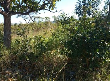 Rural · 76ha · 3 Quartos · Fazenda 76 hectares em Curvelo, plana e terra boa