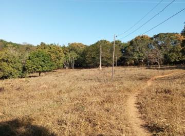 Rural · 30ha · 3 Quartos · Fazenda 30 ha toda formada, a 18 km de Curvelo e apenas 50 m do asfalto