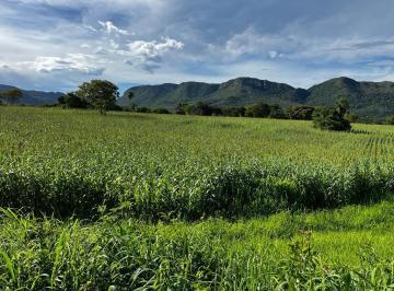 Rural , Monte Alegre de Goiás · Vendo fazenda em Monte Alegre de Goiás