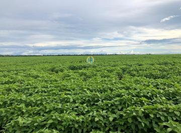 Rural · 15000m² · Fazenda á venda em - MT
