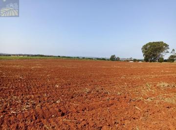 Foto 04 · Fazenda, 37 Alqueires - Ótimo Aproveitamento, Alambari, SP