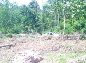 Rural , São Lourenço da Serra · EXCELENTE TERRENO COM LAGO COD: 5450 F:(11) 97302-9229 CESAR