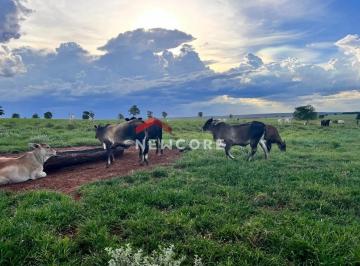 Rural · 2147483647m² · 11 Quartos · 13 Vagas · Fazenda em  Rua Rui Barbosa - Centro - Campo Grande/MS
