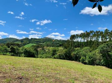 Foto 06 · Chácara à Venda 21.000 m² em Campo Alegre, SC