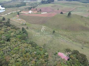 Rural , Piraquara · Área, 20000m², à venda em Piraquara, Loteamento Chácara Chantecler