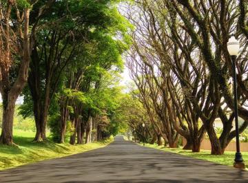 Terreno · 800m² · Terreno de 800 metros no Fazenda SerrAzul em Itupeva R$1.500.000,00