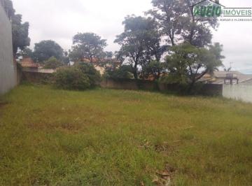 Foto 01 · Terreno, Jardim Regina, Itararé, SP