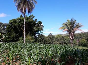 Rural · 110000m² · Chácara 11 Hectares Novo Gama Melhor Valor de m²