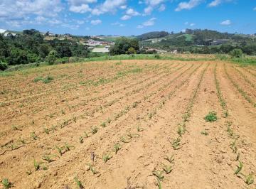 terreno plano · TERRENO PARA VENDA - Senador Amaral / MG