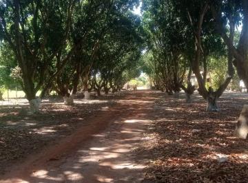 Rural , Teresina · SITIO DE 43 HECTARES / RANCHO DAS MANGUEIRAS