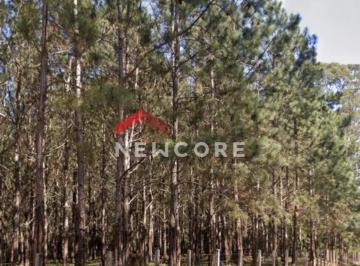Rural · 200m² · Fazenda em Rodovia - Área Rural de São Miguel Arcanjo - São Miguel Arcanjo/SP