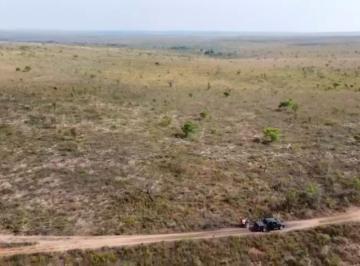Rural , Almas · Fazenda em Almas - TO 9.985 - Hectares R$ 5.208 - Pecuaria e Cultura (plantação)