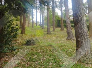 b4ba2904005f542f4d744c689c7cad9024b1ec64 · Terreno à venda em Aldeia da Serra, 800 m² por R$ 1.280.000 - Aldeia da Serra - Barueri/SP