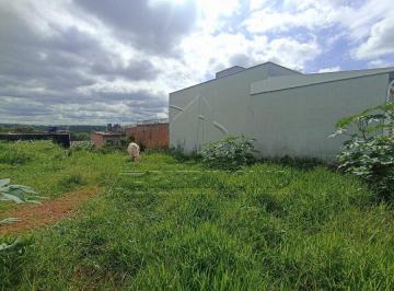 91842_i96Ga8_918426749bc5d3e5b8.jpg · TERRENO BAIRRO JARDIM BETÂNIA