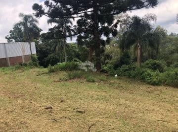 656752_ie8w4sB4A8vr_656752674dacc6dcb90.jpg · Terreno com vista panorâmica no Pinhal Alto em Nova Petrópolis