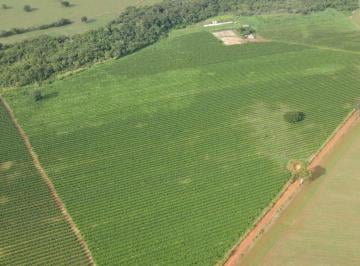 Foto 03 · EXCELENTE FAZENDA CAFEEIRA EM PATROCÍNIO-MG