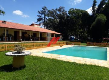 Foto 01 · Sitio, Ipelândia, Suzano, SP