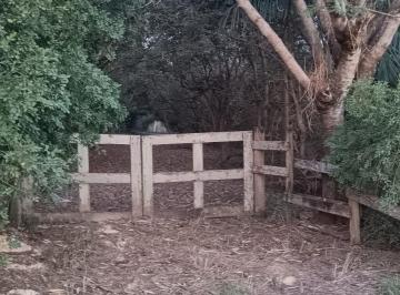 Rural , Limeira · SÍTIO EM LIMEIRA
