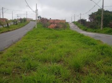 97333_30-1_134816.jpg · LOTE PLANINHO