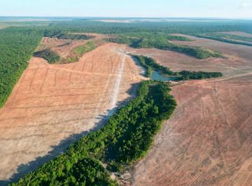 Rural , São José do Xingu · Fazenda no Mato Grosso - 7.090 hectares - Em lavoura e Pecuária