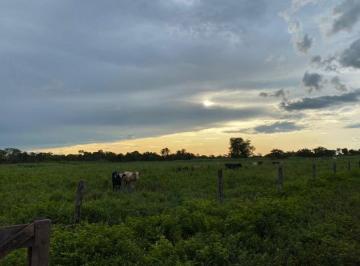 Rural · 23800000m² · FAZENDA NA REGIÃO DE ARAGUAÇU-TO!!!