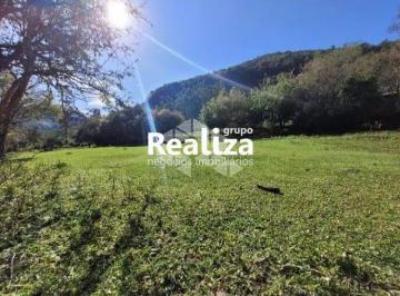 Rural · 33000m² · 3 Quartos · Chácara de 33.000m² em Vila Cristina - Caxias do Sul