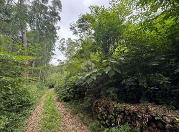 672240_iU3X1_67224067508ecf895b0.jpg · Area rural de 5,5HA escriturada