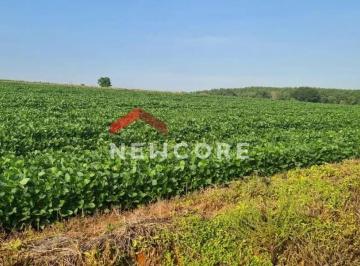 Rural · 2000m² · 4 Quartos · Sítio em Rua Saldanha Marinho - Centro - Itapetininga/SP