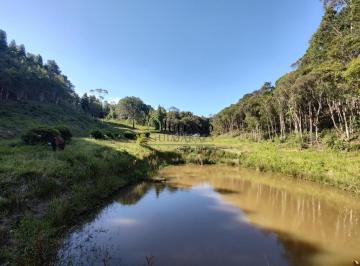 Foto 01 · TERRENO Á VENDA - RANCHO QUEIMADO SC