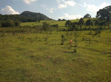 Foto 01 · Sitio, Bairro dos Baiãos, Munhoz, MG