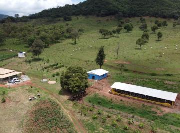 Foto 01 · LINDO SÍTIO DE 11 HECTARES C/ GRANJA SUPER RENTÁVEL À VENDA EM ITAGUARA/MG