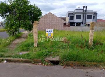 WhatsApp Image 2024-12-02 at 18.04.41.jpeg · Terreno, 363.75 m², em Parque da Matriz