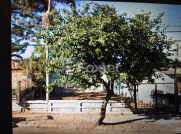 IMG_1928.JPG · Terreno, 334 m², em Cavalhada