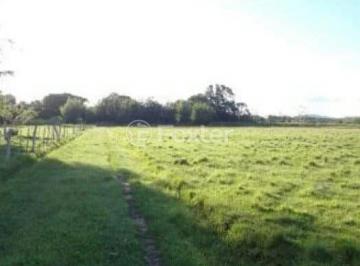 WhatsApp Image 2024-11-14 at 14.58.15.jpeg · Terreno, 98000 m², em Esteio Velho