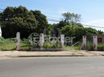 500554293_MenidodeDeus.jpg · Terreno, 980 m², em Santa Isabel