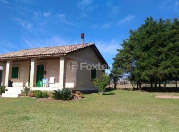 IMG-20240829-WA0007sitio elisa.jpg · Fazenda / Sítio / Chácara, 2 dormitórios, 81 m², em Costa do Morro Grande