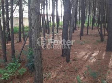i5j60994318_211420631a6166e5119.jpg · Terreno, 5330.48 m², em Distrito Industrial