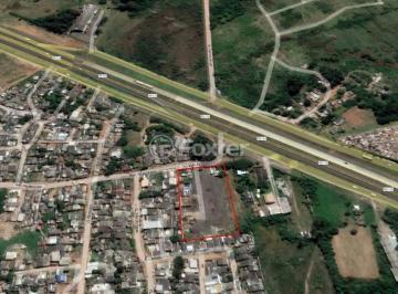 Foto Terreno_Estrada Capistranios_RS118.jpeg · Terreno, 6000 m², em Jardim Betânia