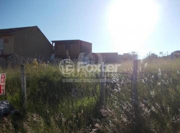 2.jpg · Terreno, 169.67 m², em Jardim Leopoldina