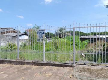 WhatsApp Image 2025-02-23 at 17.24.48.jpeg · Terreno, 310 m², em Morro Santana