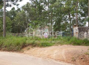 515714803_Ipanema.jpg · Terreno, 43800 m², em Belém Velho