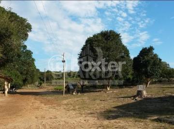 560832150_ImoGuaridaPrincipal.jpg · Terreno, 313000 m², em Belém Novo
