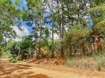 WhatsApp Image 2024-10-30 at 17.25.09.jpeg · Terreno, 1491.75 m², em Campo Novo