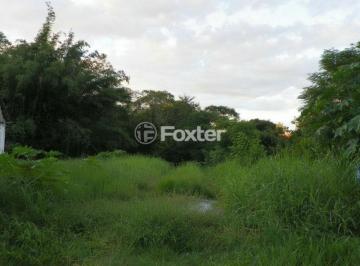 edited-image-1782863918913.jpg · Terreno, 1355 m², em Vila Conceição