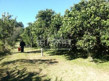615315876_MenidodeDeus.jpg · Terreno, 13935 m², em Belém Velho