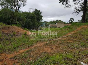 634598564_Ipanema.jpg · Terreno, 156.6 m², em Belém Novo